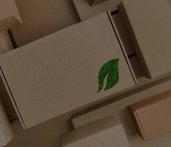 Sustainable Packaging Solutions